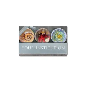 [0045-MGC] Invertebrate Cabochon Magnet or Paper Weight Set