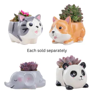 2”-2.5” Wild Whimsy Faux Succulent Collection