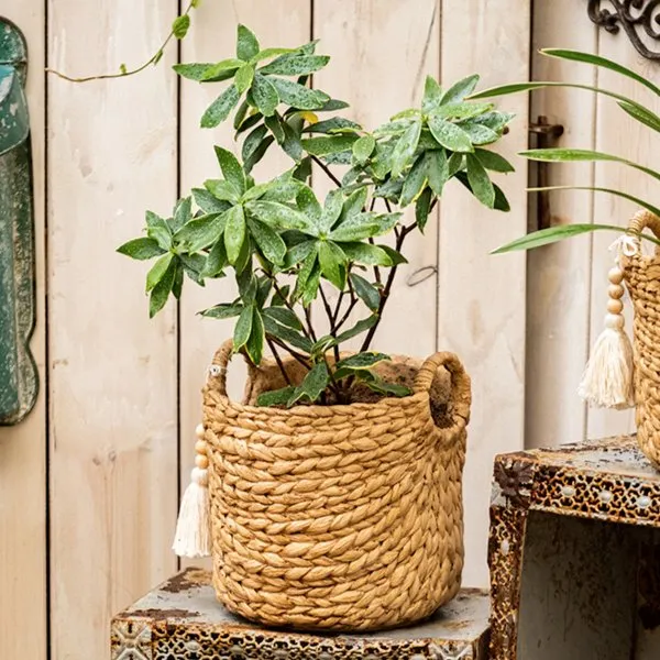 Basket Weave Cement Planter - Various Sizes