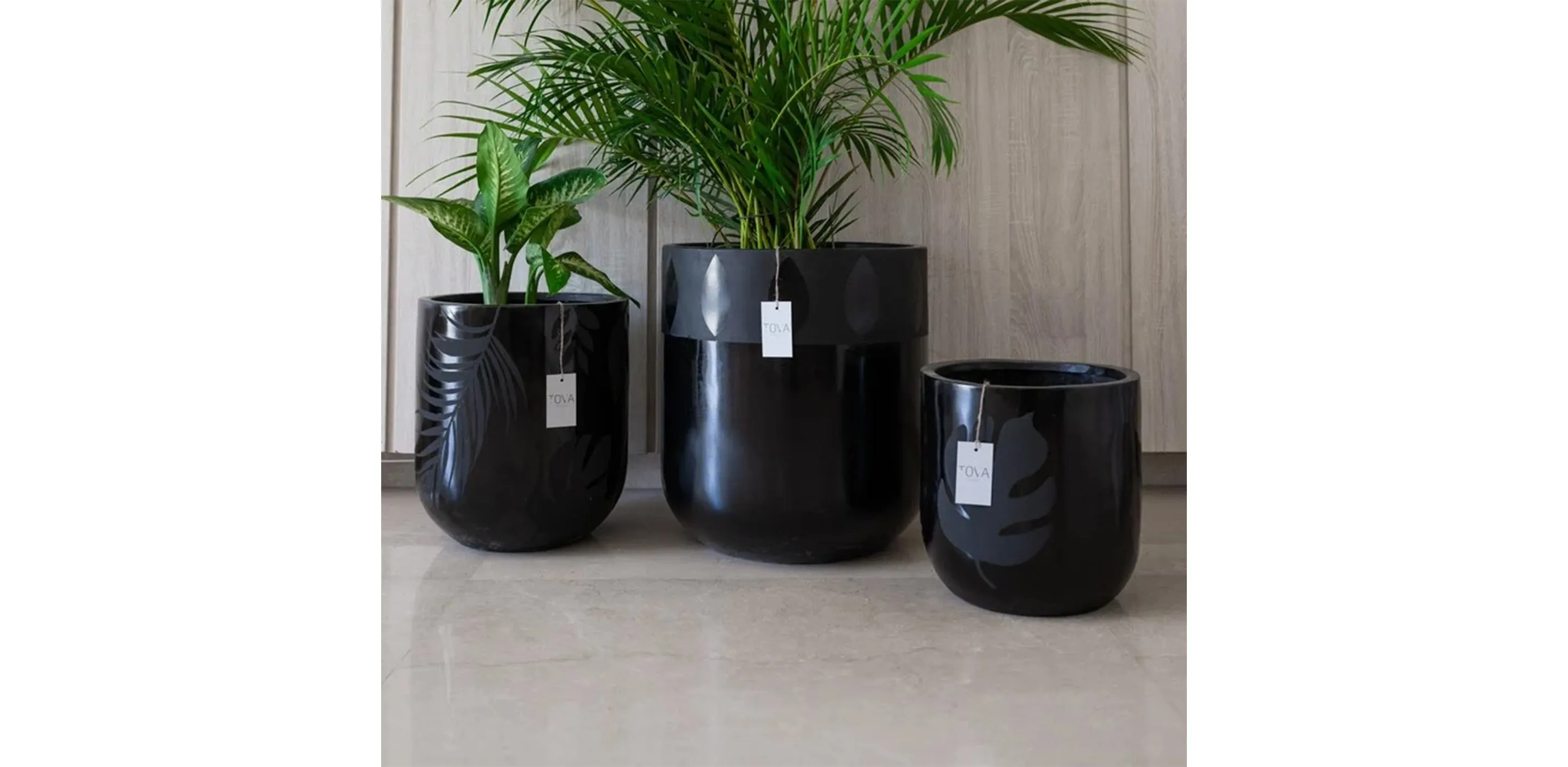 Black Tropical Pot