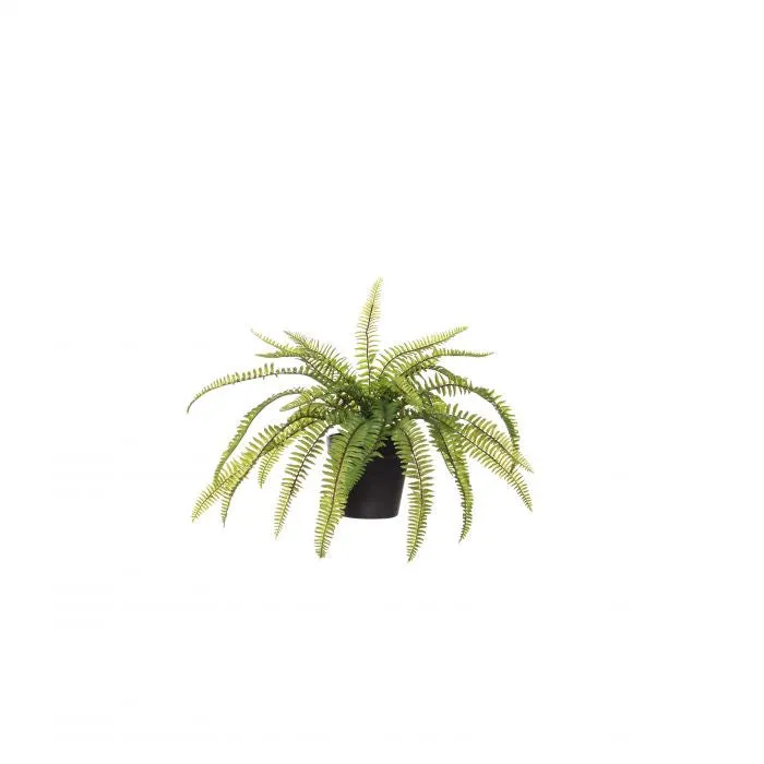 Boston Fern Garden Pot (45x32cm)