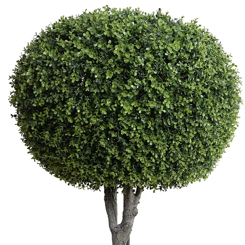 Boxwood Pumpkin Topiary 64"H