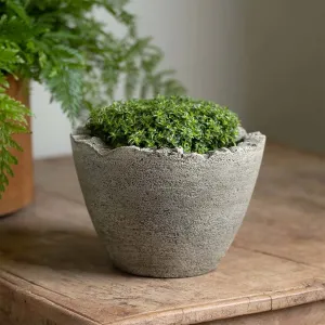 Campania International Mini Broken Egg Planter