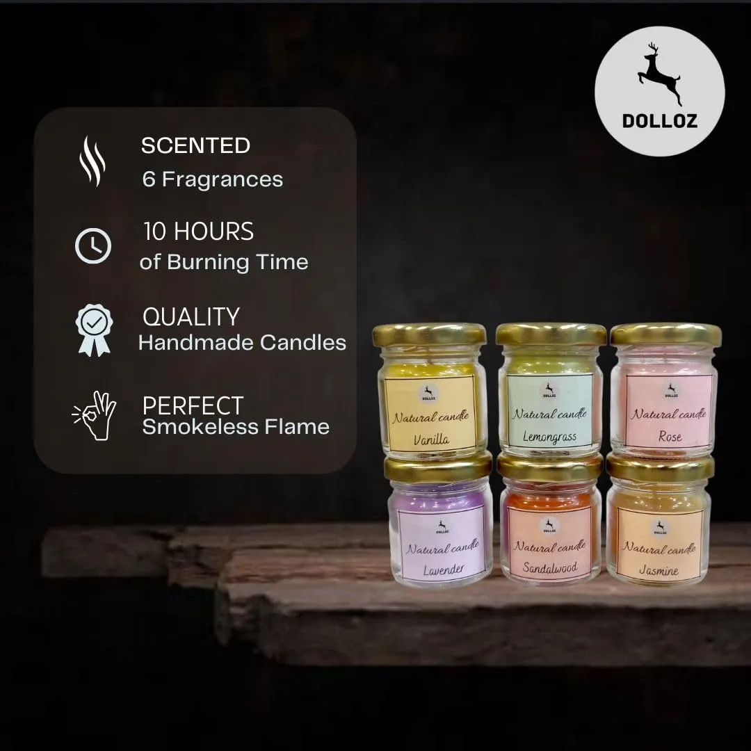 DOLLOZ - Sentenced Candles, Pack of 24 Mini Jar Scented Candles for Home, Scented Candles Christmas Gift Set for Women Men, Fragrance Vanilla lemongrass Sandalwood Jasmine Lavender Rose up to 15Hours