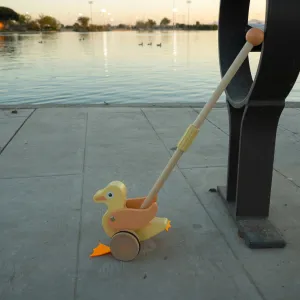 Duck Push Toy