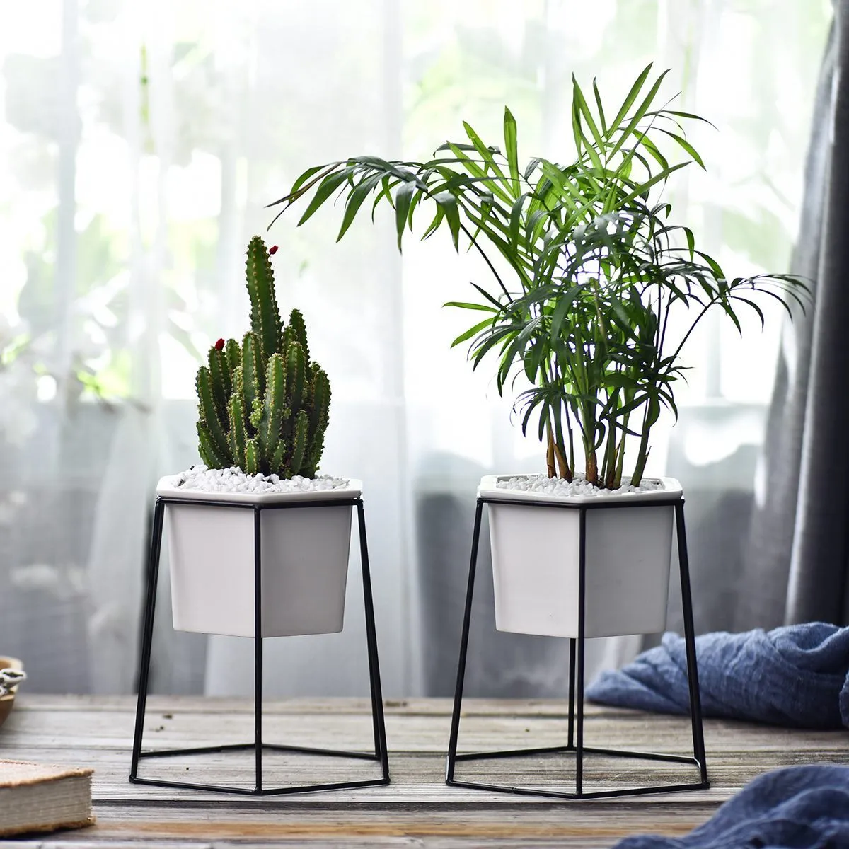 Dynesty - Hexagon Ceramic Planter & Stand