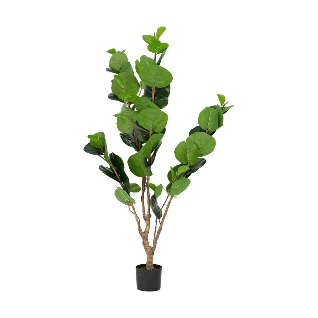 Faux Rubber Plant - Large - 175cm