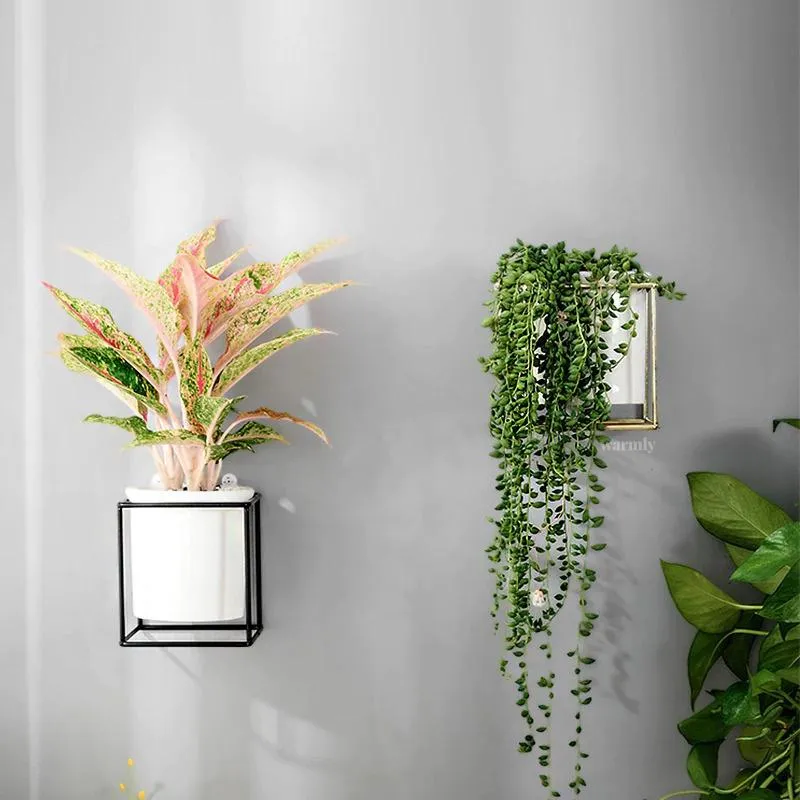 Fenella - Metal Frame Modern Planter