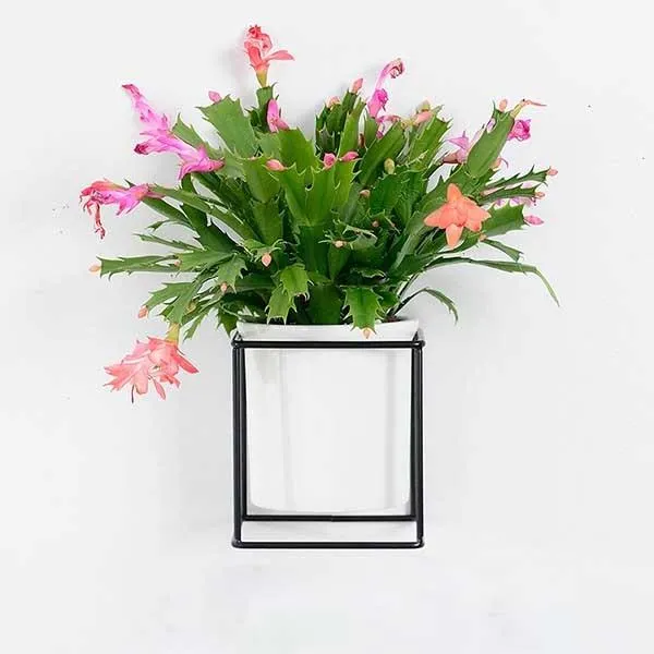 Fenella - Metal Frame Modern Planter