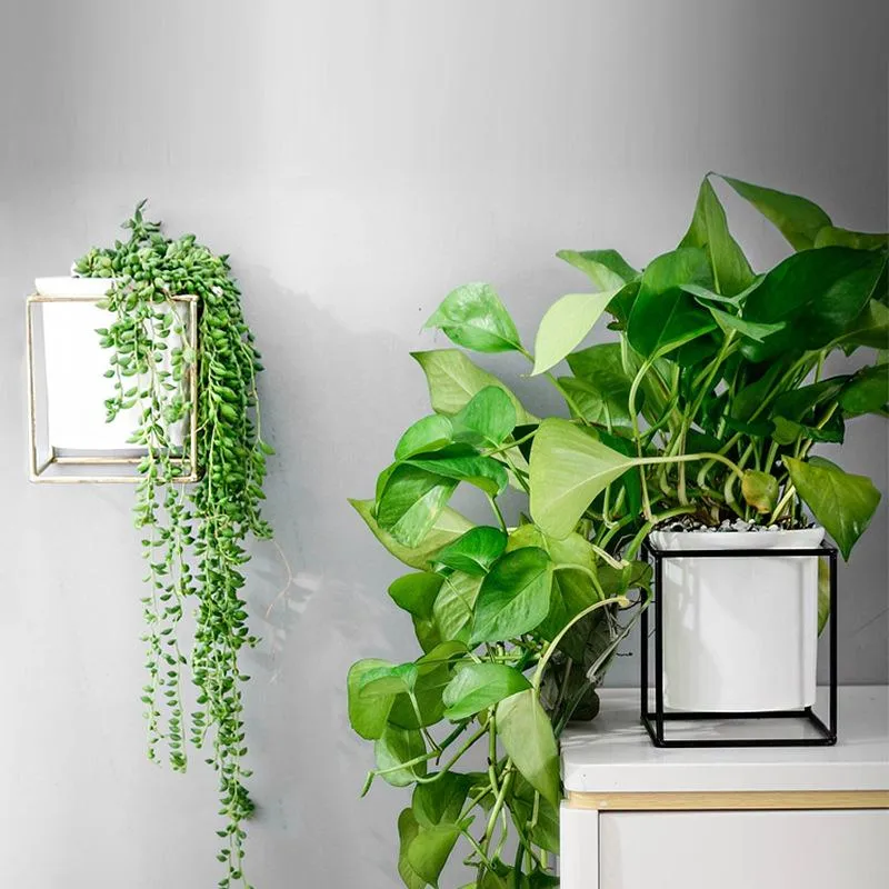 Fenella - Metal Frame Modern Planter