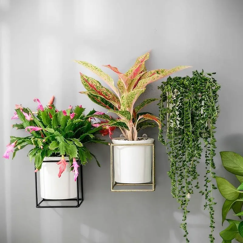 Fenella - Metal Frame Modern Planter