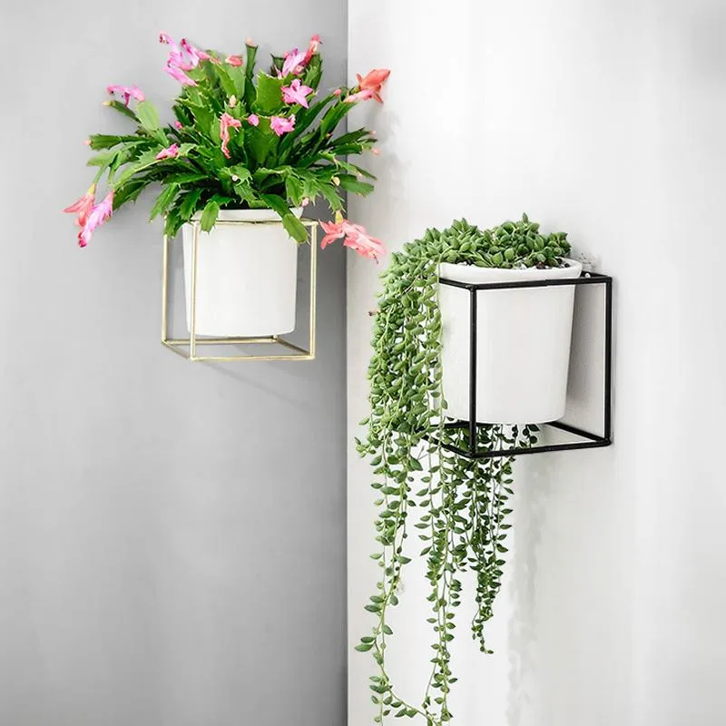 Fenella - Metal Frame Modern Planter