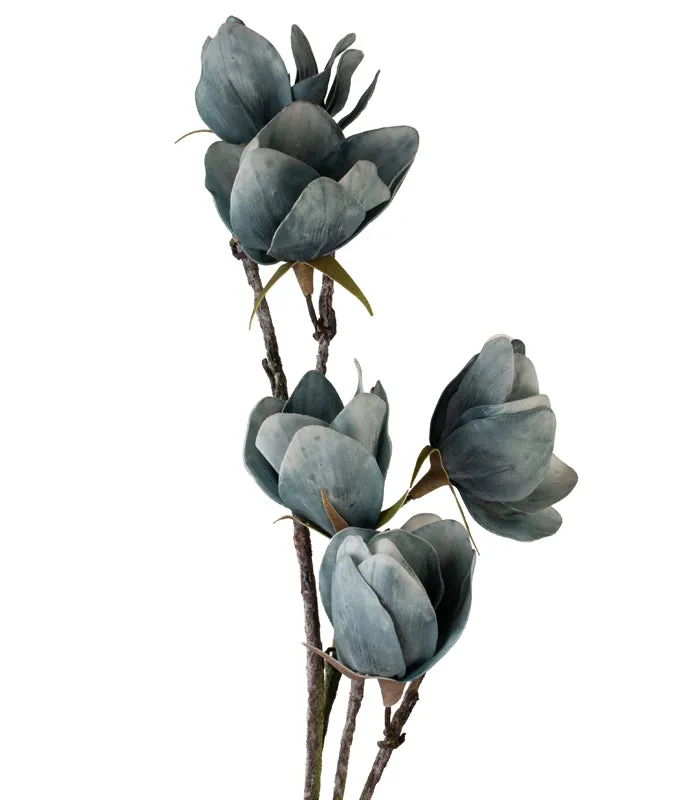 Giant Crocus - Blue