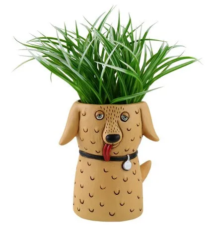 Goldie Dog | Planter Vase | Tall   Short