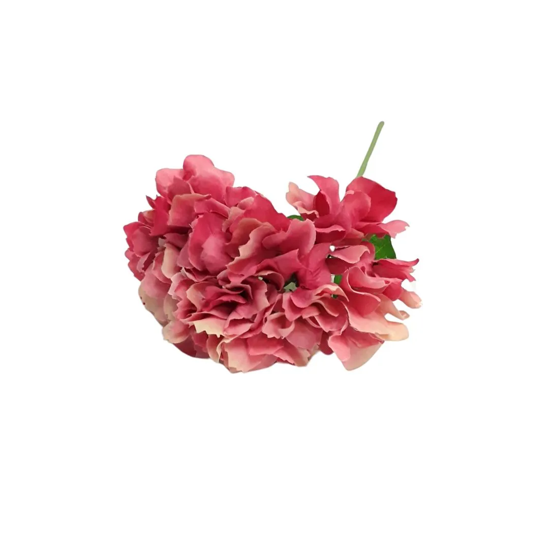 Italian Hydrangea - Coral Pink