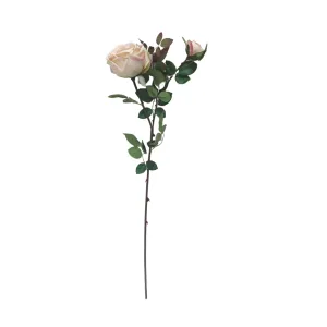 Large English Rose - Light Pink