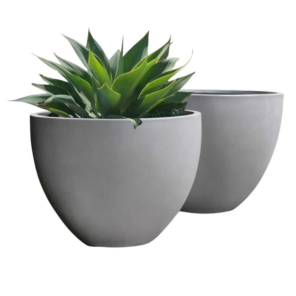 Livingstone Raw Concrete Oval Planter