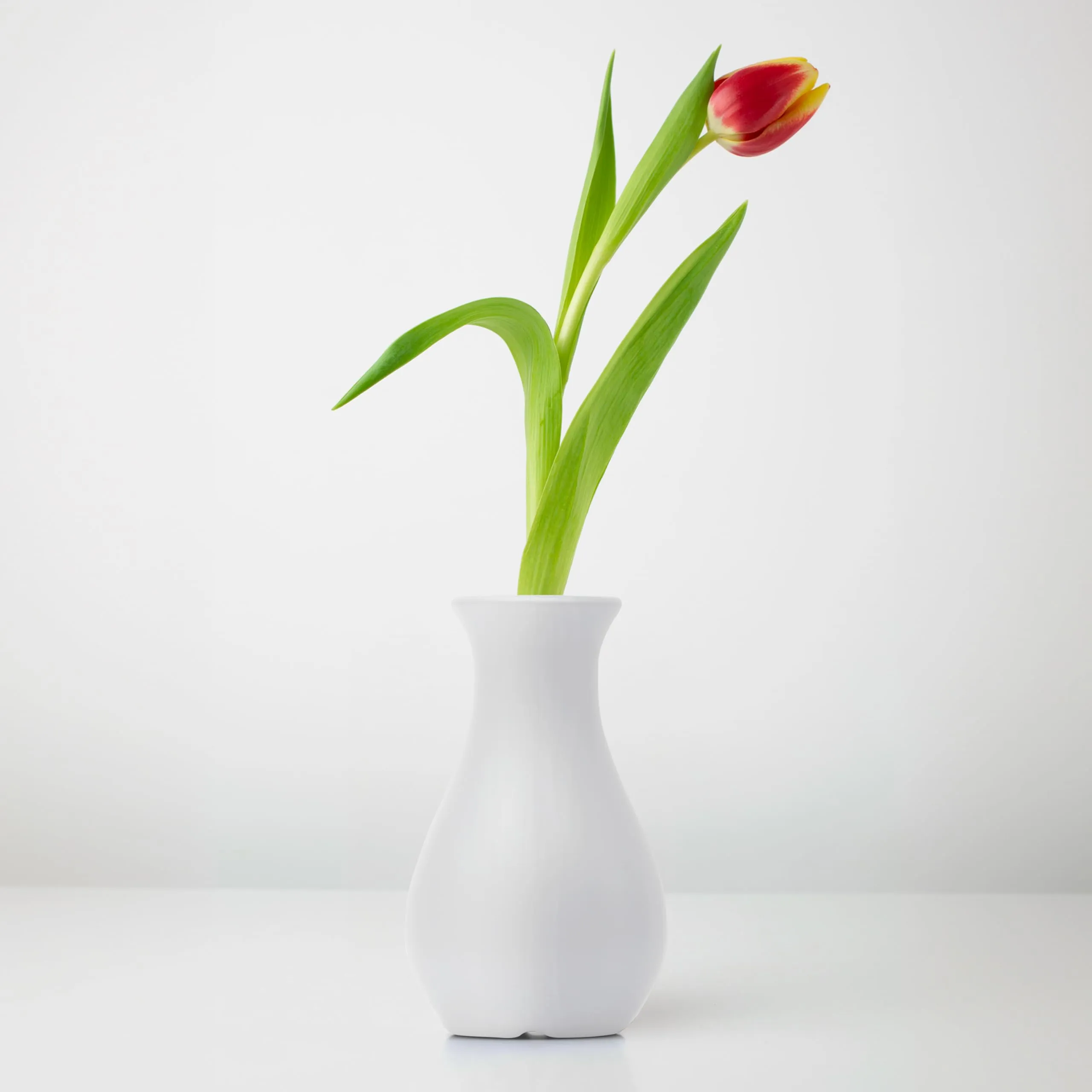 Livzing 5.9 inch Plastic Flower Vase for Home Decor Cone Shaped Modern Vase Center Table Decorative Flower Pot for Living Room Bedroom Office (Pack of 2, White)