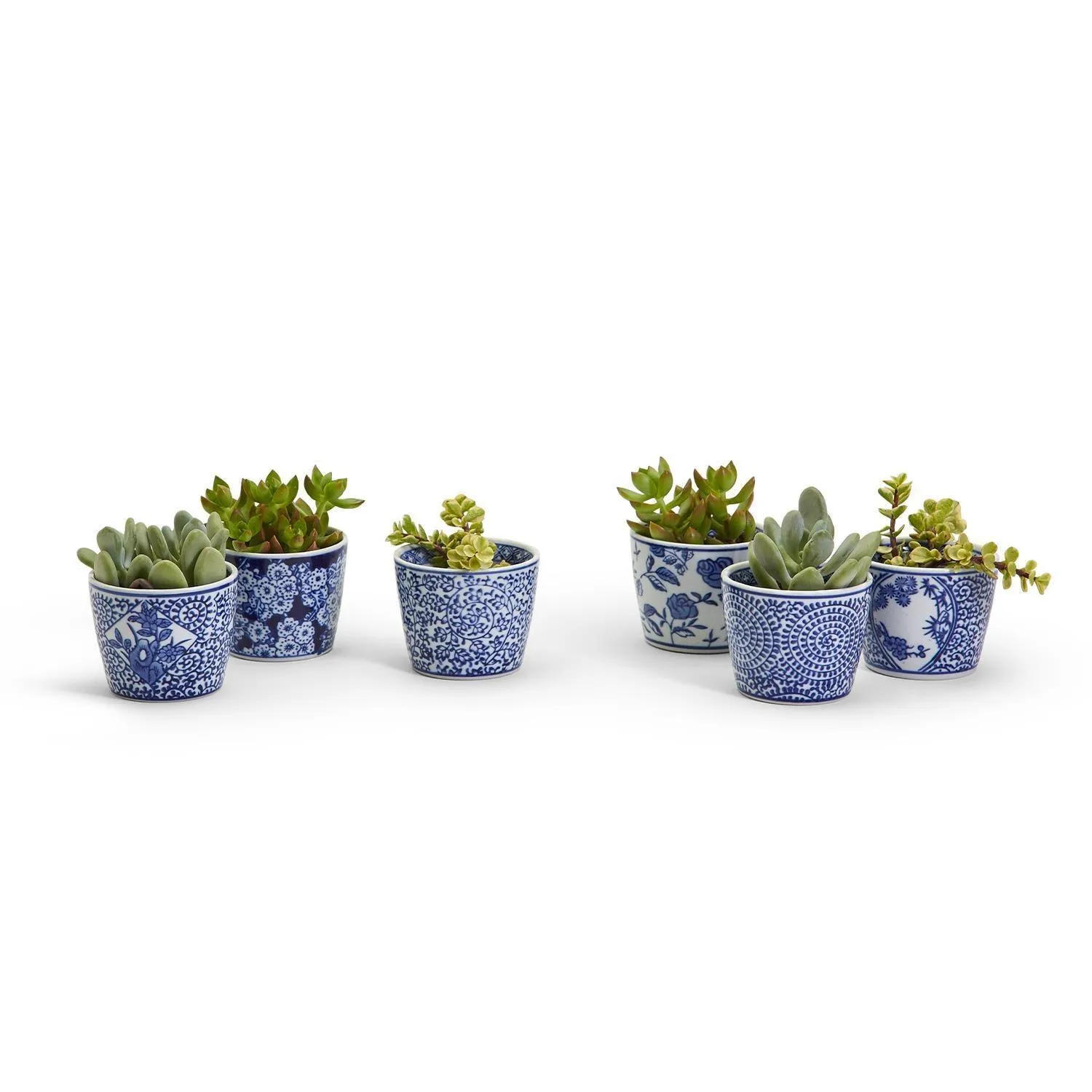 Mini Chinoiserie Cachepots