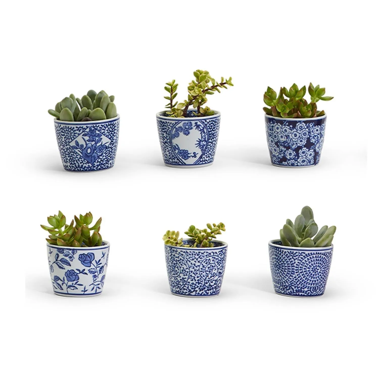 Mini Chinoiserie Cachepots