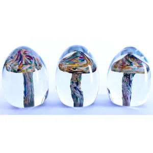 Mushroom Paperweights by Grateful Gathers Glass, Danny Polk Jr