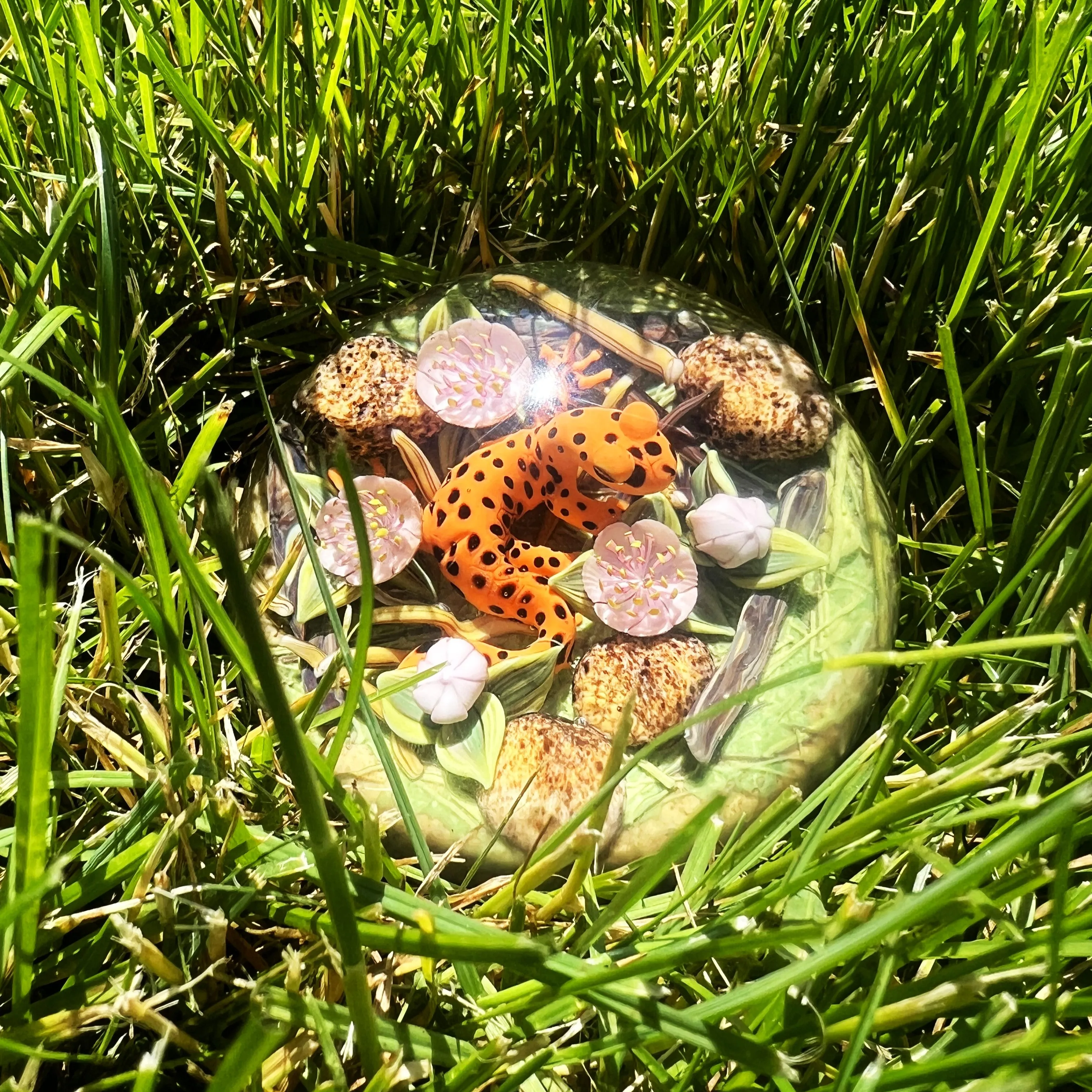 Orange Salamander Paperweight by Clinton Smith