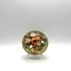 Orange Salamander Paperweight by Clinton Smith