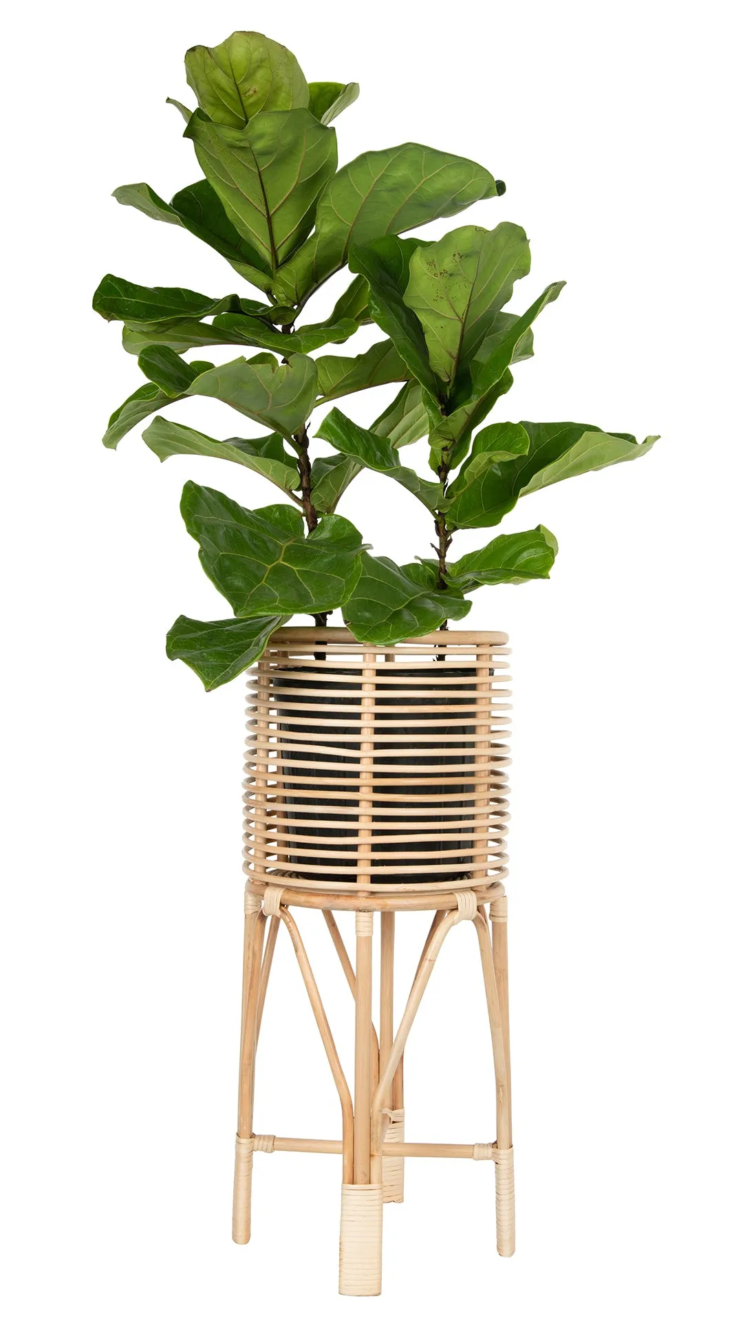 Rattan Indoor Plant Stand, Medium, Natural