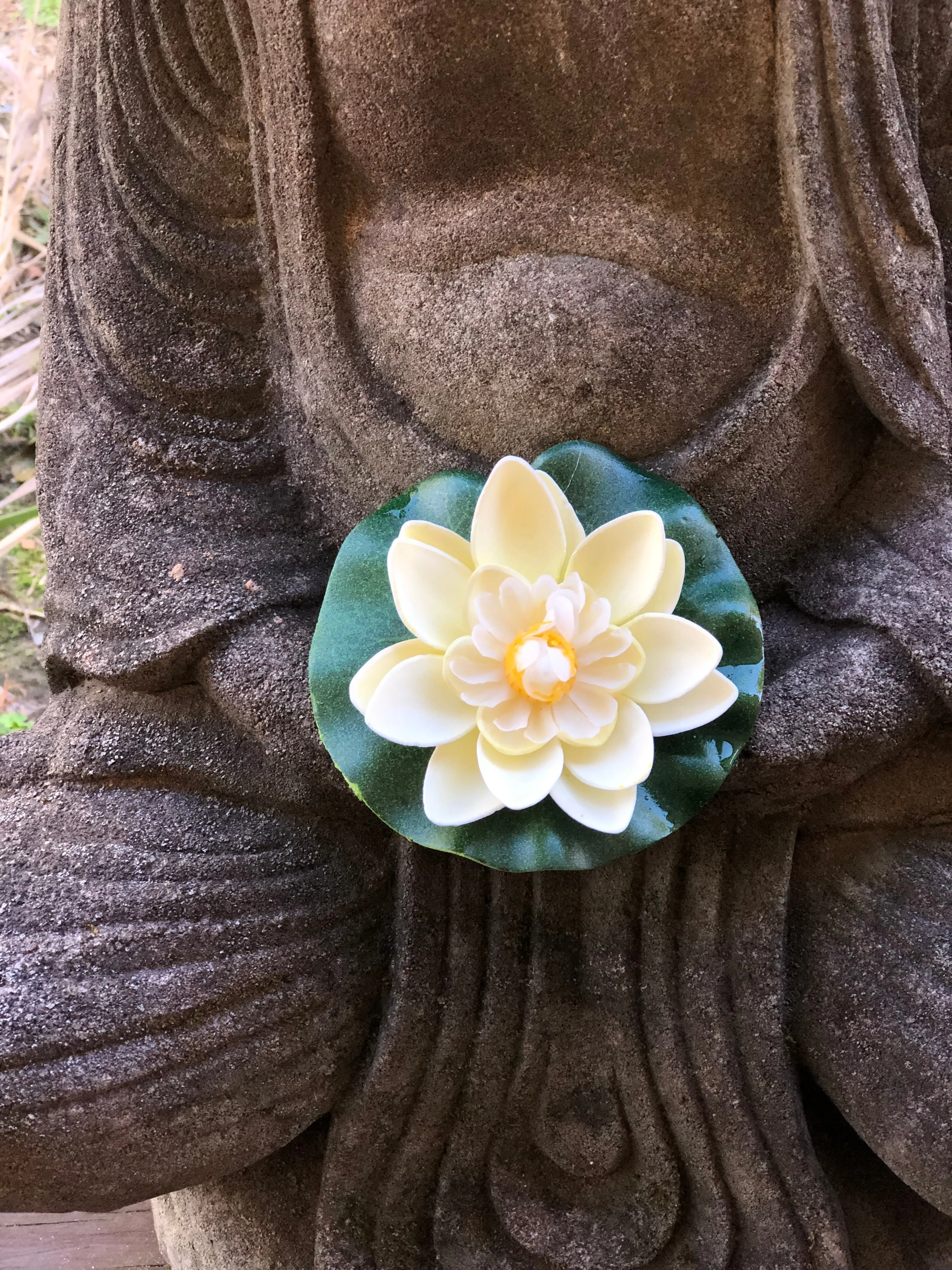 Small floating lotus flower