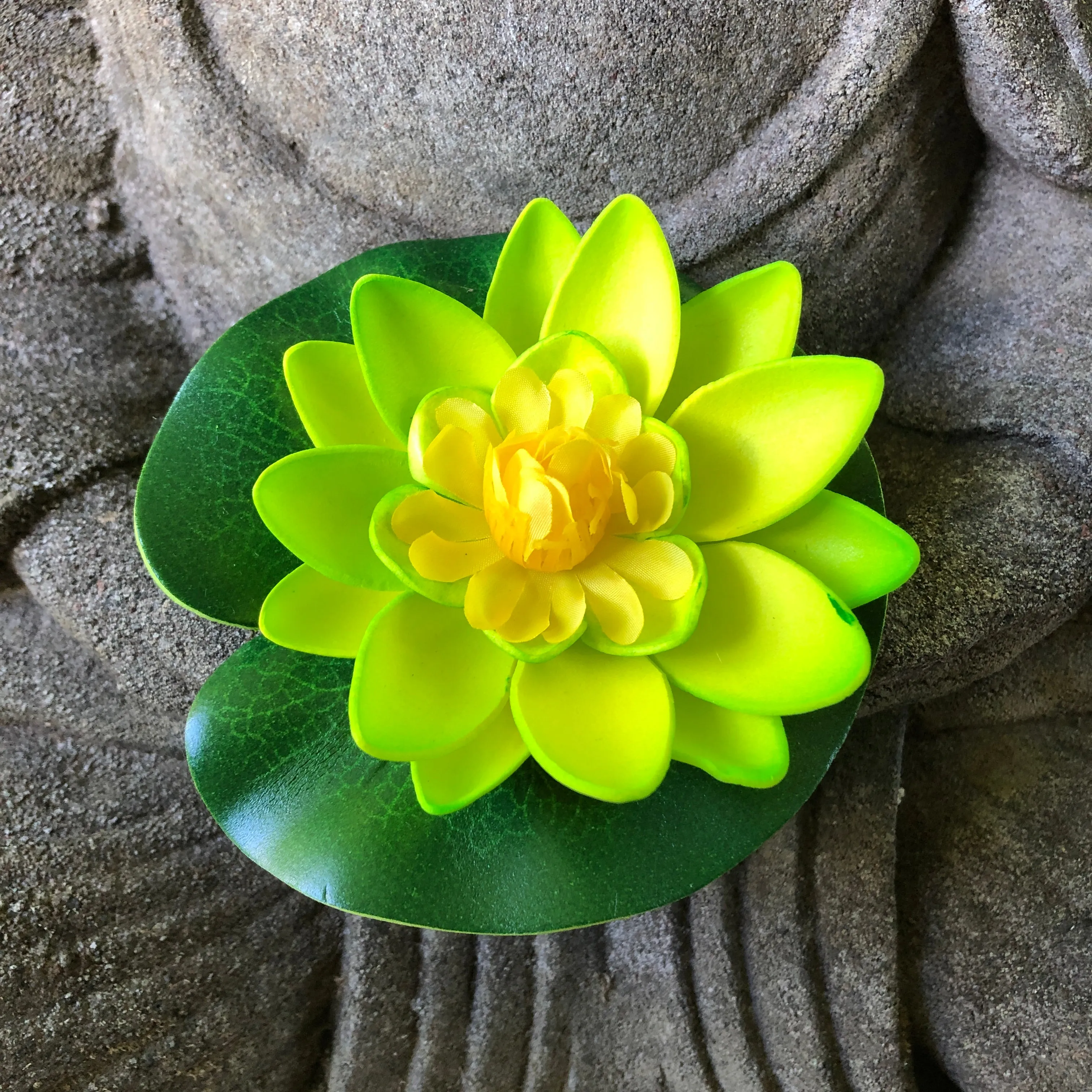 Small floating lotus flower