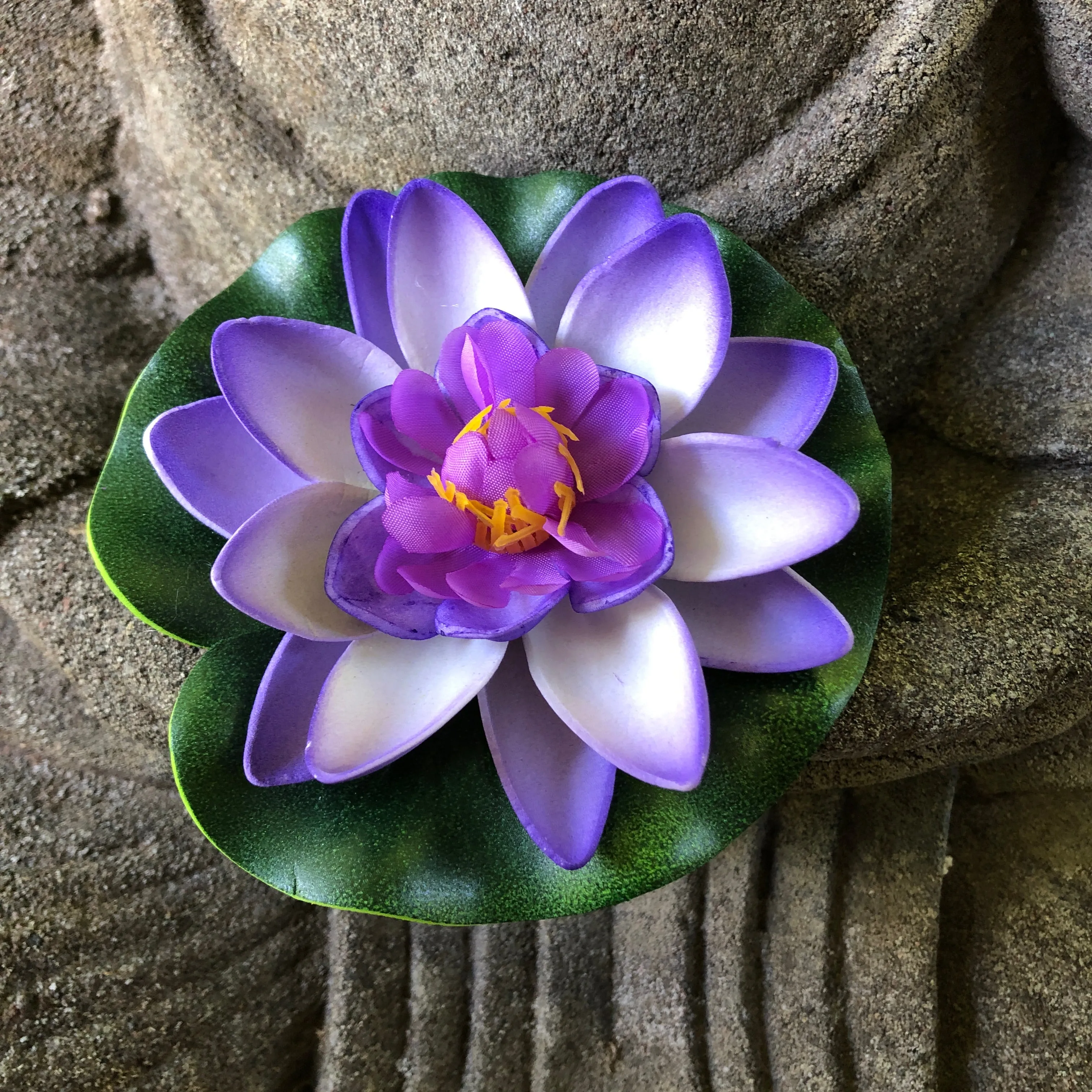 Small floating lotus flower