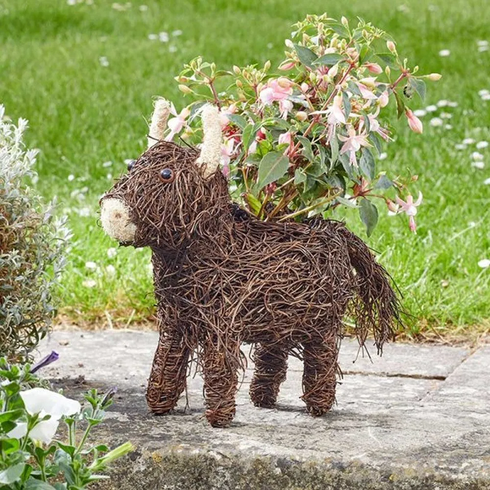 Smart Garden 40cm Rattan Highland Cow Planter