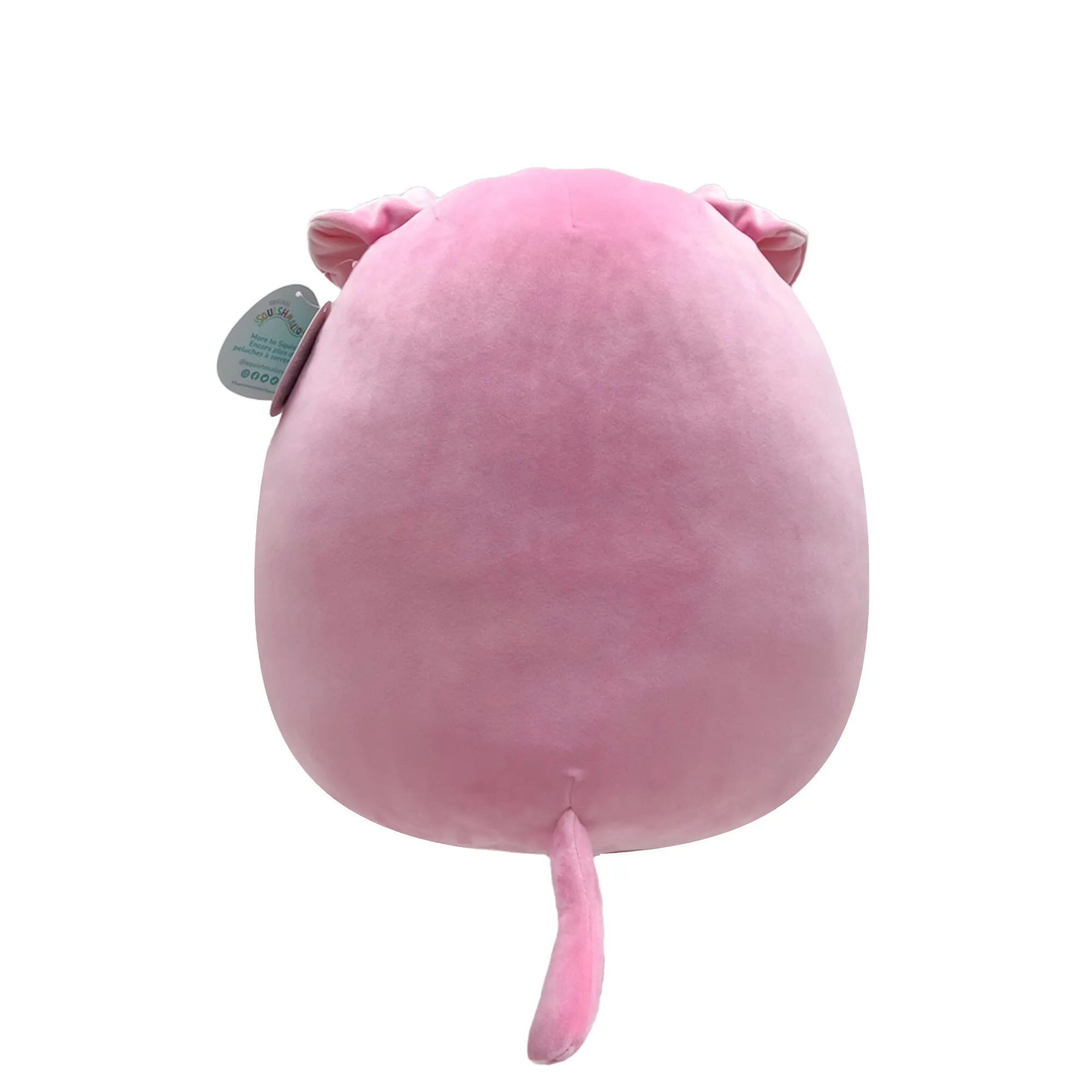 Squishmallows 16 Inch (40cm) Plush  Geraldine