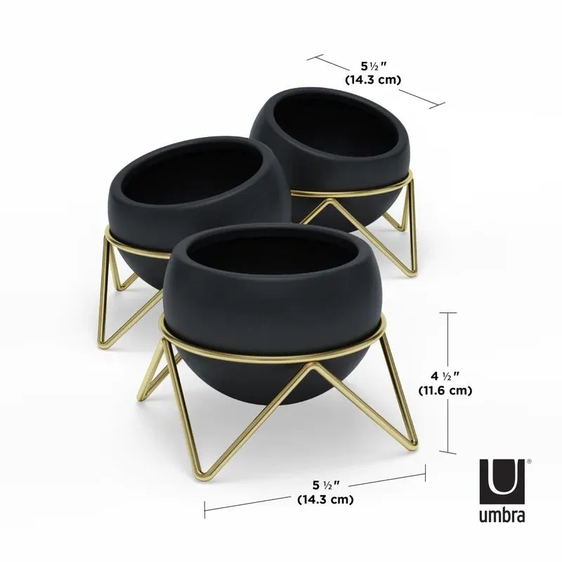 Umbra Potsy Planter Set of 3, Black (Ó)