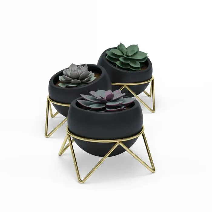 Umbra Potsy Planter Set of 3, Black (Ó)